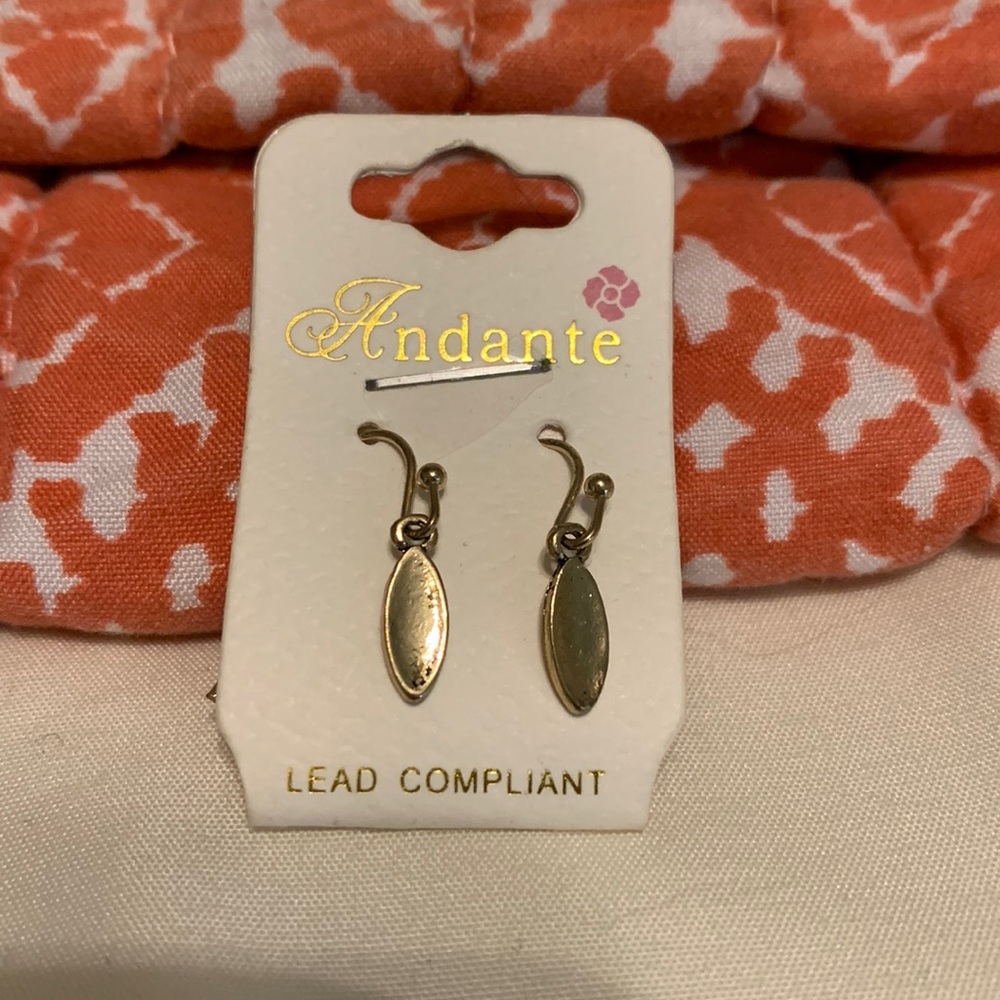 Andante Silver Small Dangle Earrings